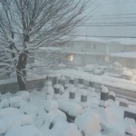 大雪となりました